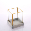 Glass Terrarium for decoration