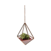 Glass Hanging Terrarium Copper Hexagonal