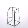 Glass Terrarium 